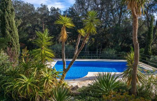 Villa Dolly - Foto 23