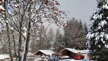 Chalet calme - Foto 1