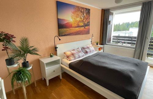 Ferienwohnung in Freudenstadt-Kniebis III - Foto 1