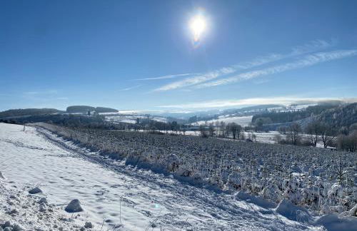 Ferienhaus Hilletalblick - Foto 19