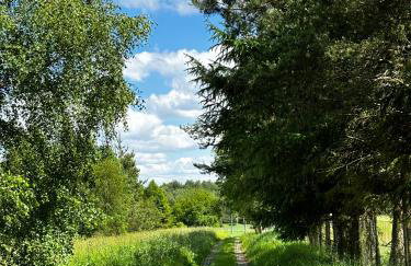 Siedlisko Błotnia - Foto 70