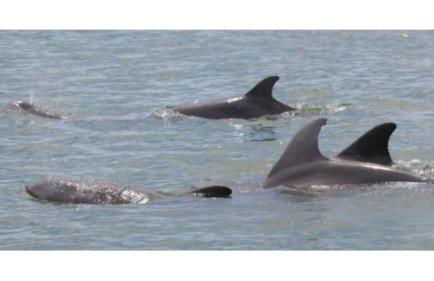 The Beach on Longboat Key - Foto 50