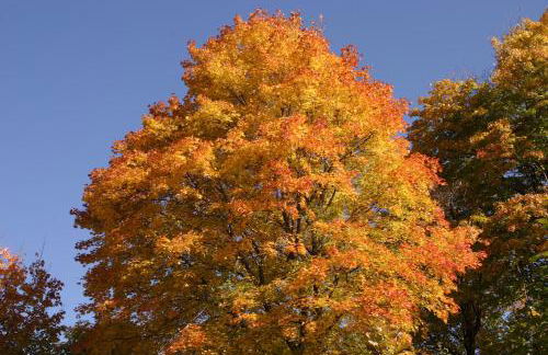 Appartments Neuhof - Photo 9