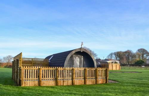 Beech - Uk47622 - Foto 12