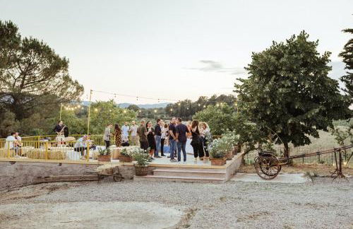 Perelli Winery - Foto 21