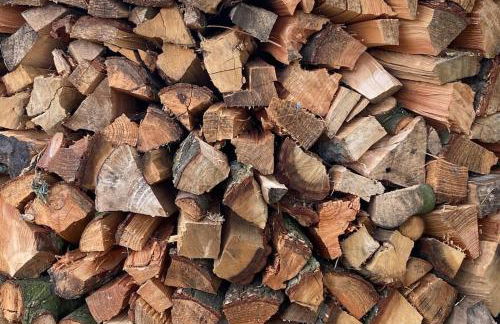 Landhaus Lange3 Moderne Kunst - Photo 30