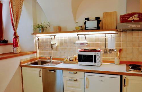 Apartment Einzimmerwohnung Die Katze in Gignod by Interhome - Foto 6