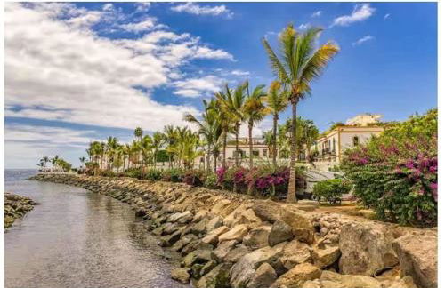 Arguineguin apartment terrace swimming pool - Photo 20