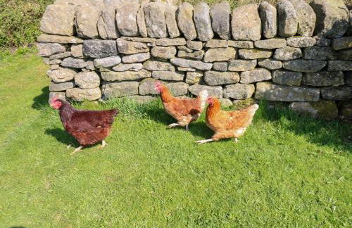 The Barn at Heath Hall Farm - Foto 21