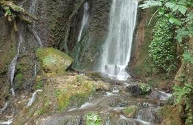 Casa vacanze I PINI E IL CILIEGIO - Foto 46