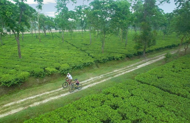 Wild Mahseer - Foto 33