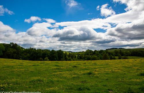 Modern and Stylish WoodHous - Photo 24