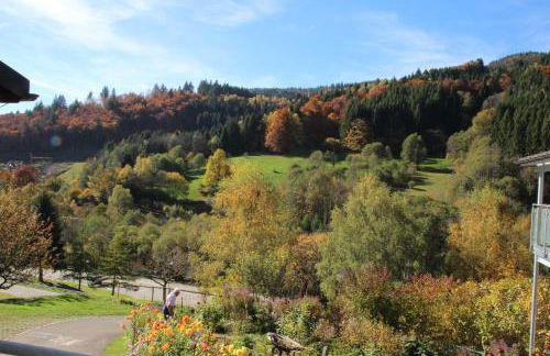 Steiert Panorama Apartments Todtnau - Foto 79