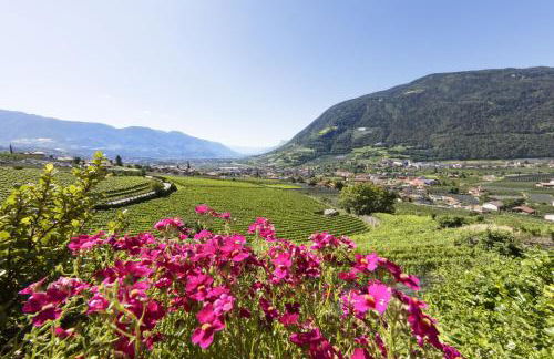 Ferienwohnungen St Hippolyt mit Hallenbad - Foto 54