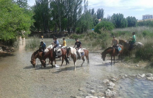 Finca Luz de Alba - Photo 21