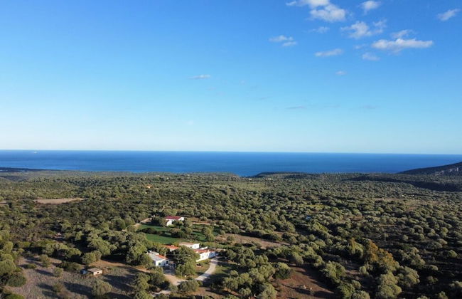 Agriturismo Paulesa - Foto 61