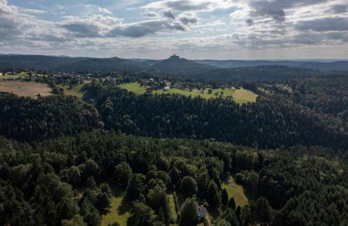 Le gîte du Männele - Into my Hardt - Photo 21