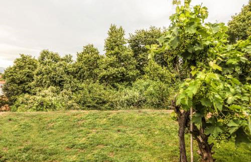 Avli Luxurious House - Foto 46