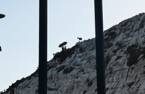 Με θέα το χωριό & το όρος Ζευς! - Foto 44