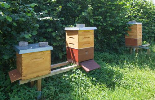 Ferienhof Olbasee - Foto 42