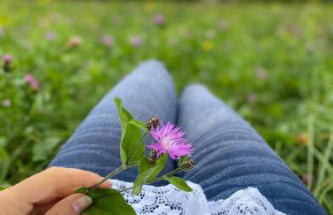 Casetta dipinta Fattoria dei fiori - Photo 43