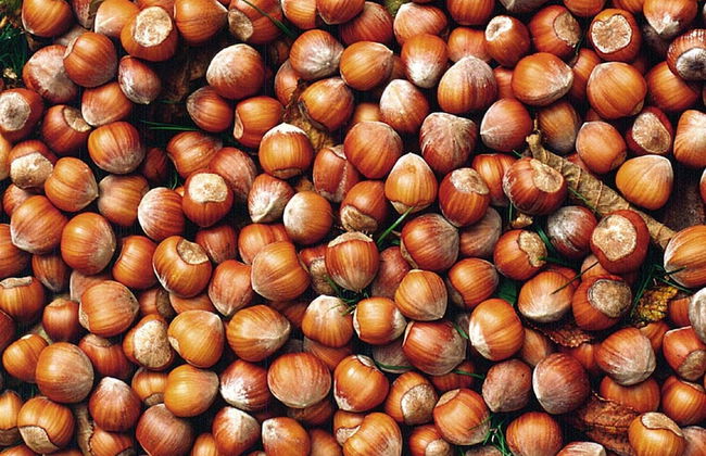 Agriturismo Marcarini - Foto 23