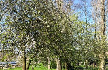 Peacock Barn - Photo 19