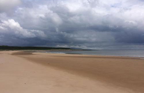 Clashmore Wood - Foto 39