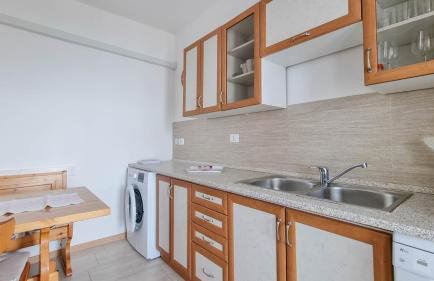 Belvedere dole - Photo 6