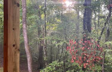 Turkey Creek Cabin Rentals #2 at Tims Ford lake - Foto 51