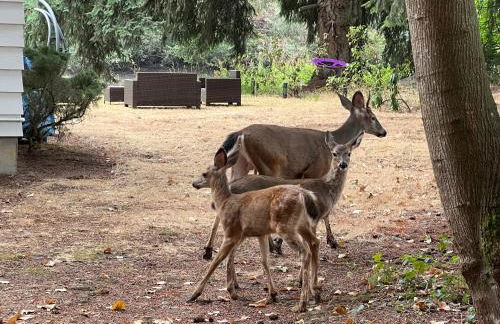 Private Lake House - Foto 38