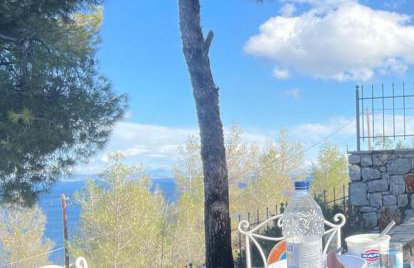 pines & sea - Foto 7