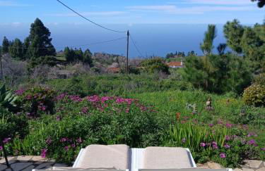 Casa Flor azul - Foto 15