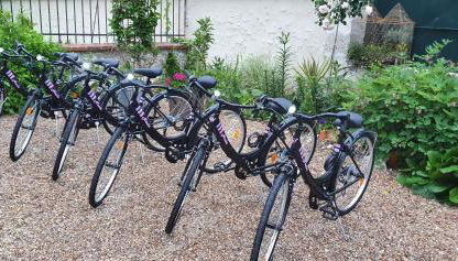 La Folie Hubert - Photo 2