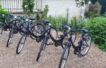 La Folie Hubert - Photo 2