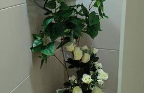 Alojamiento en El Molar, Madrid - Foto 15