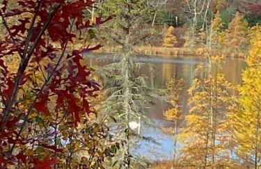 Crosslake Treetop Escape - Foto 25