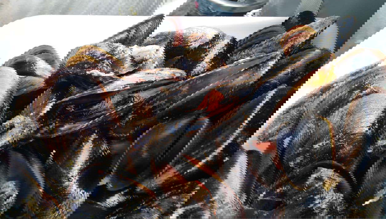 Tour in Vigo - Photo 1