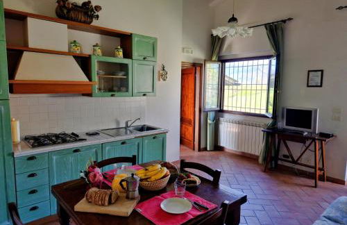 Agriturismo il Pino - Bioagricoltura - Photo 67