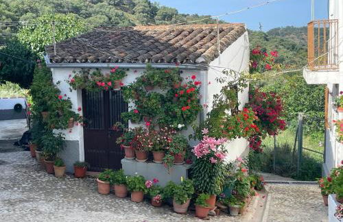 Alojamiento La Casa del Pintor - Foto 20