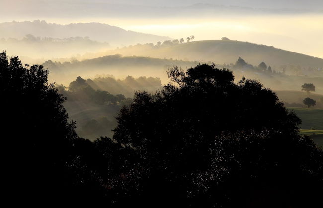 Agriturismo Belvedere Pierini e Brugi - Foto 37