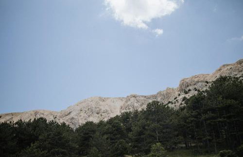 Villa Zlata - Holiday house - Foto 77