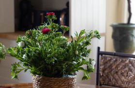 Incredible Church Views from Beautiful Cottage - Foto 67