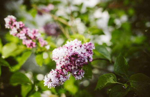 Agroturystyka u Miłosza - Foto 36