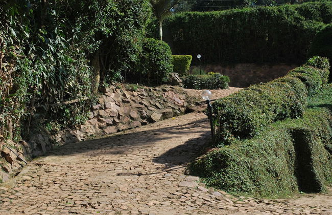 Crater Bay Cottages - Photo 57