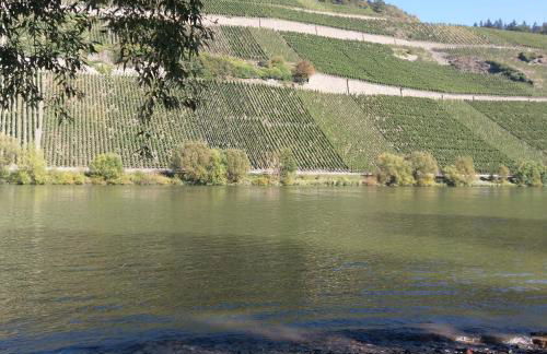 FeWo Sonnenlay - Apartments an der Mosel - Foto 29