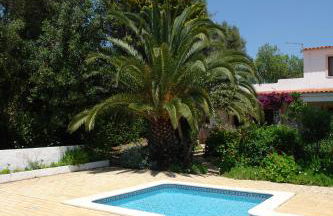 Feliz Apartments - Foto 36