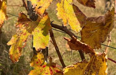 Historic Farmhouse Casa Del Chiodo - Foto 78