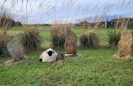 Cater Tober Haven - Photo 18