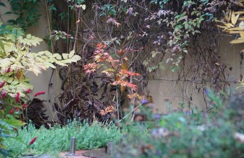 Pension zum Hirschstein - Photo 45